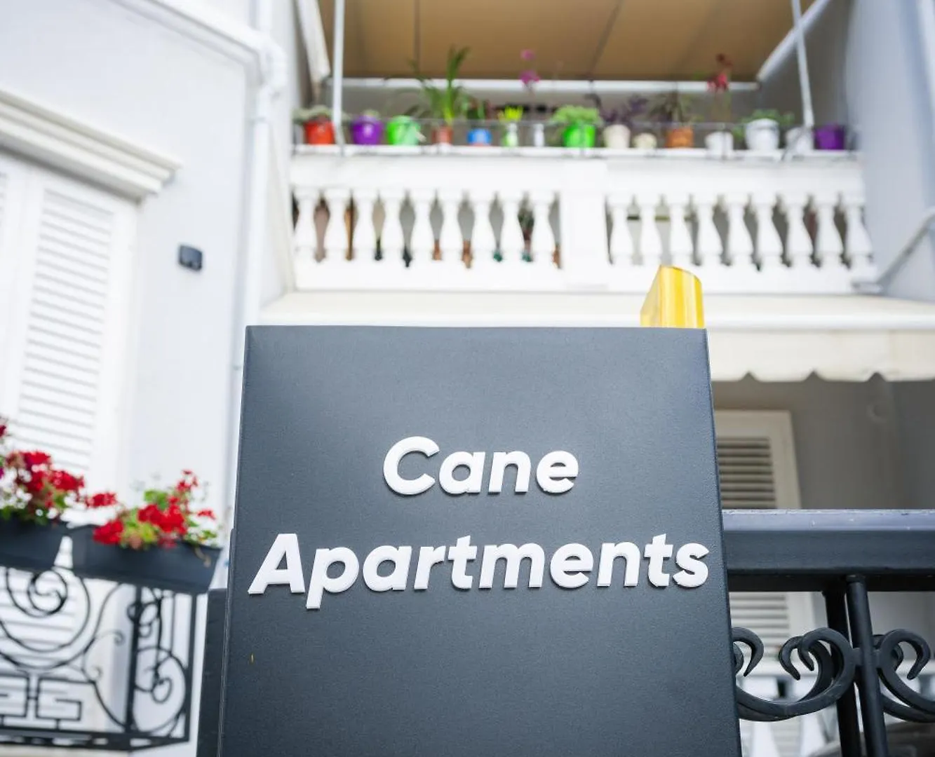 Coral Cane Apartment 티라나