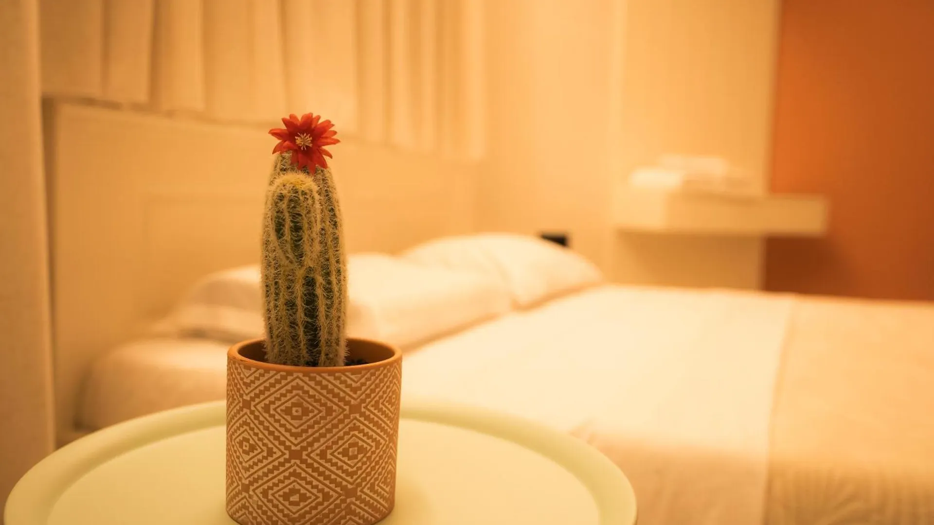 Coral Cane Apartment 티라나